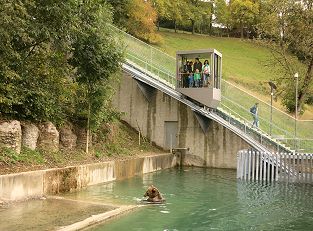 Schrägaufzug im Bärenpark Bern