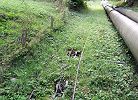 Standseilbahn Kraftwerk Turtmann Oberems - Foto Hansruedi Imgrüth Histec Archiv standseilbahnen.ch