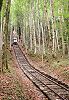 Standseilbahn Militär Wolfenschiessen Wissiflue - Wagen 1 unterwegs