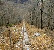 Trassee im Wald von Castasegna