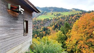 Seilbahn Dallenwil Wiesenberg - Unterschwändli