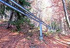 Die Standseilbahn überquert einen Weg - Im Wald bei den Beatushöhlen fährt eine Material - Standseilbahn - Schrägaufzug Restaurant Beatushöhlen - Foto Markus Seitz Archiv standseilbahnen.ch