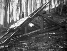 Sihlwald Hebisen Standseilbahn Holztransport - der leere Wagen auf der Wippe der Ausweiche - Foto Archiv standseilbahnen.ch