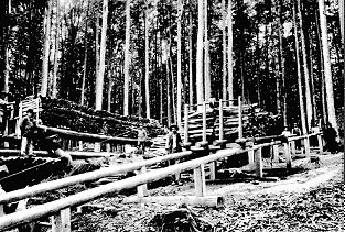 Sihlwald Standseilbahn für Holztransport - Foto Archiv standseilbahnen.ch